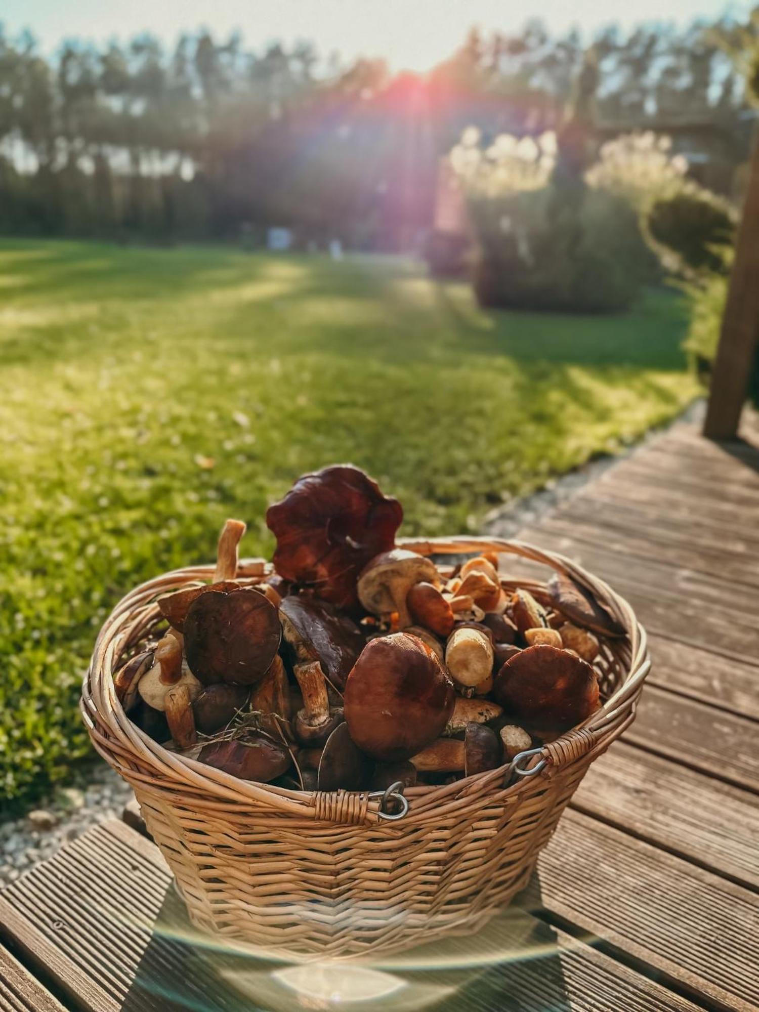 Agroturystyka Wena - Luksus W Naturze Zachodzko Exterior foto